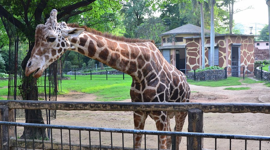 zoo vrt