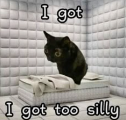 too silly cat